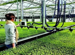 科技賦能現(xiàn)代農(nóng)業(yè) 環(huán)保技術(shù)推動可持續(xù)發(fā)展新路徑